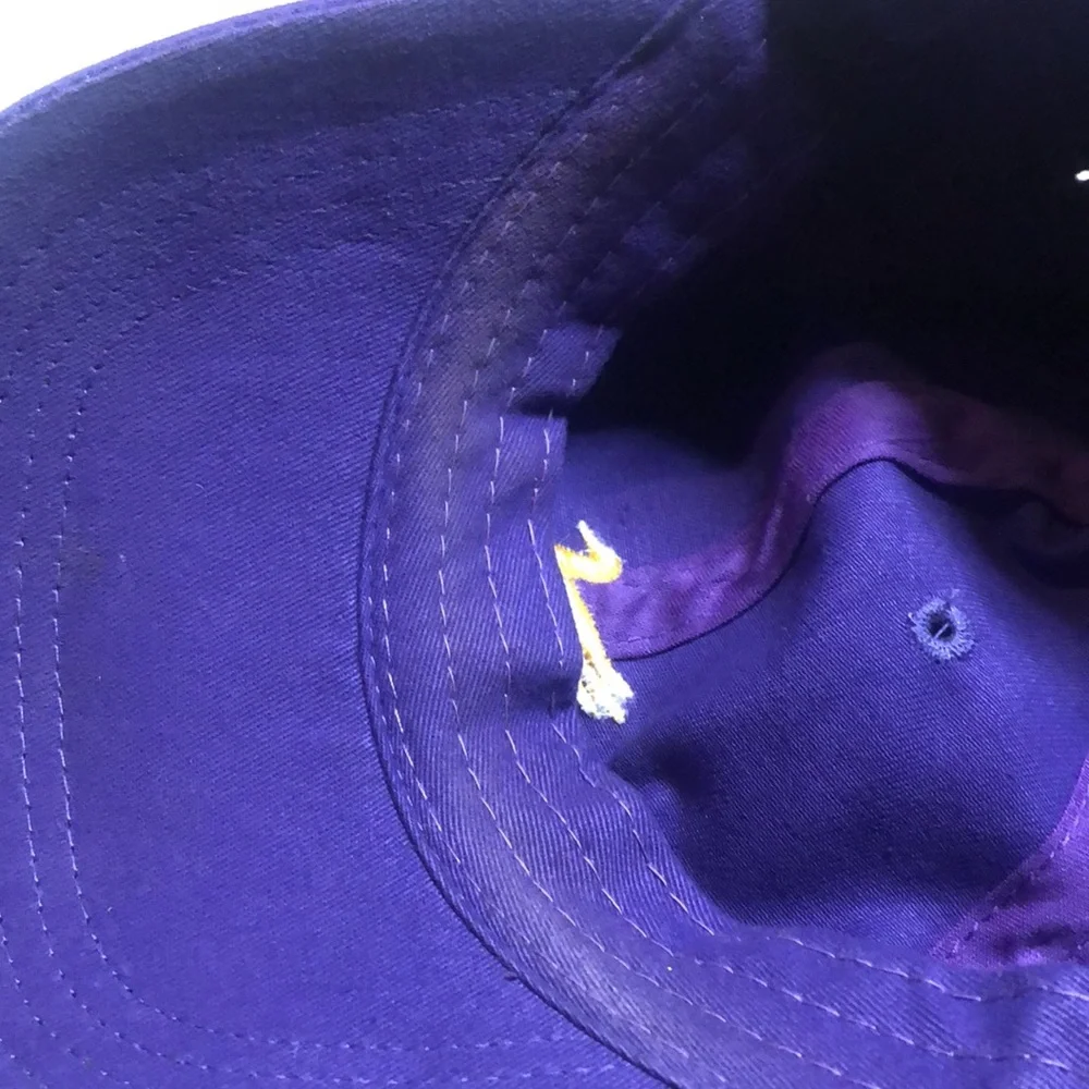 Purple southern marsh cap with Gold Duck Embroidery